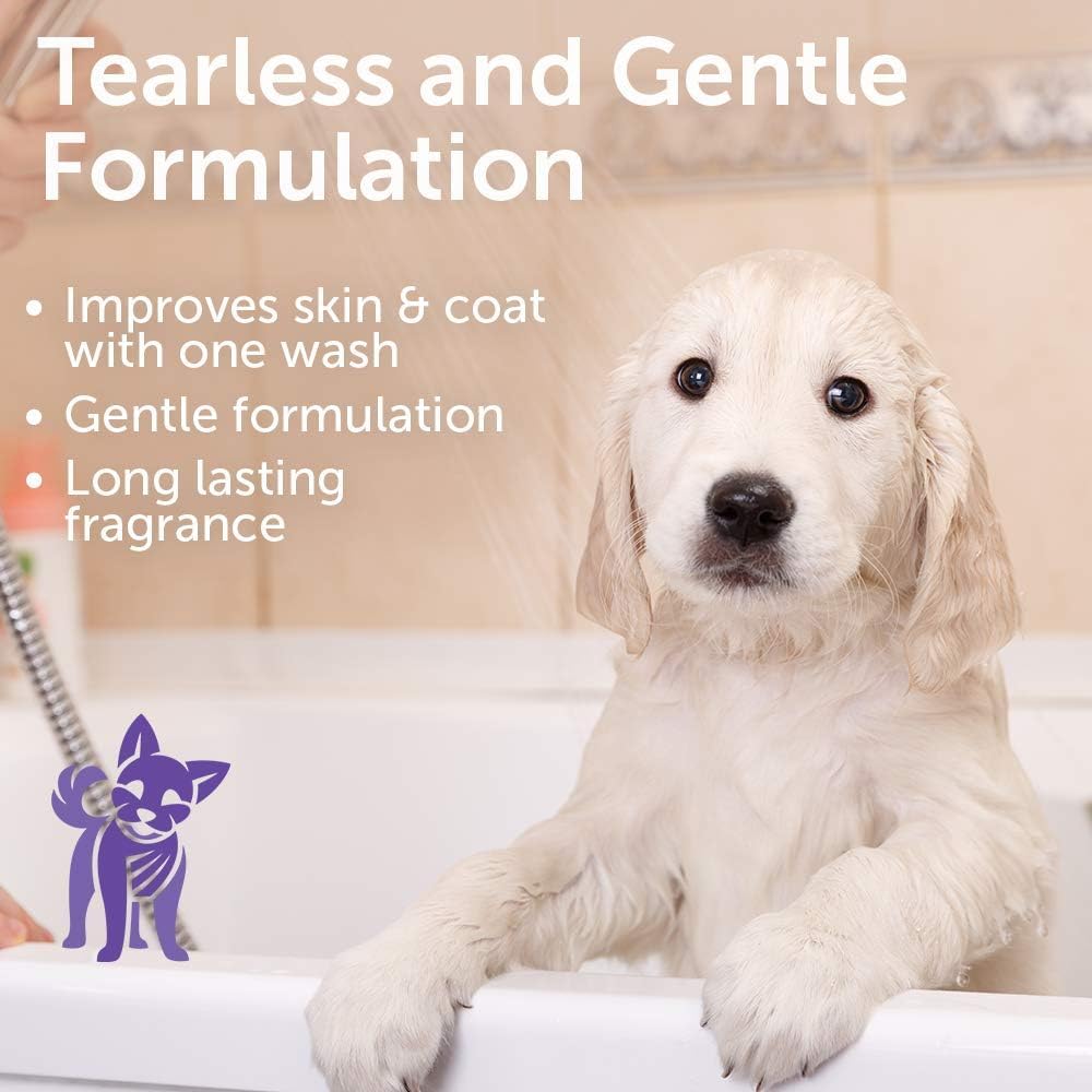 Nootie Tearless Puppy Shampoo lather shown, promoting easy rinse and soft fur.