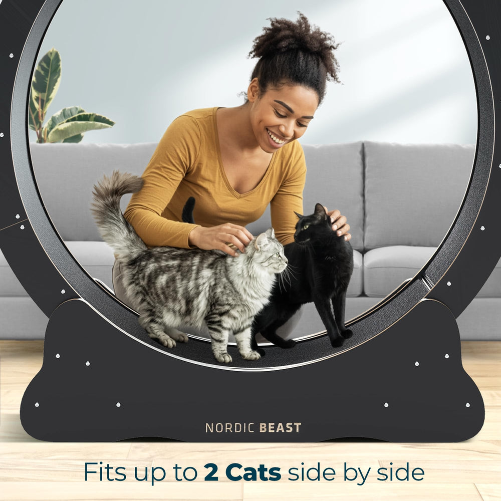 Nordic Beast cat wheel durable wooden frame detail for long-lasting use