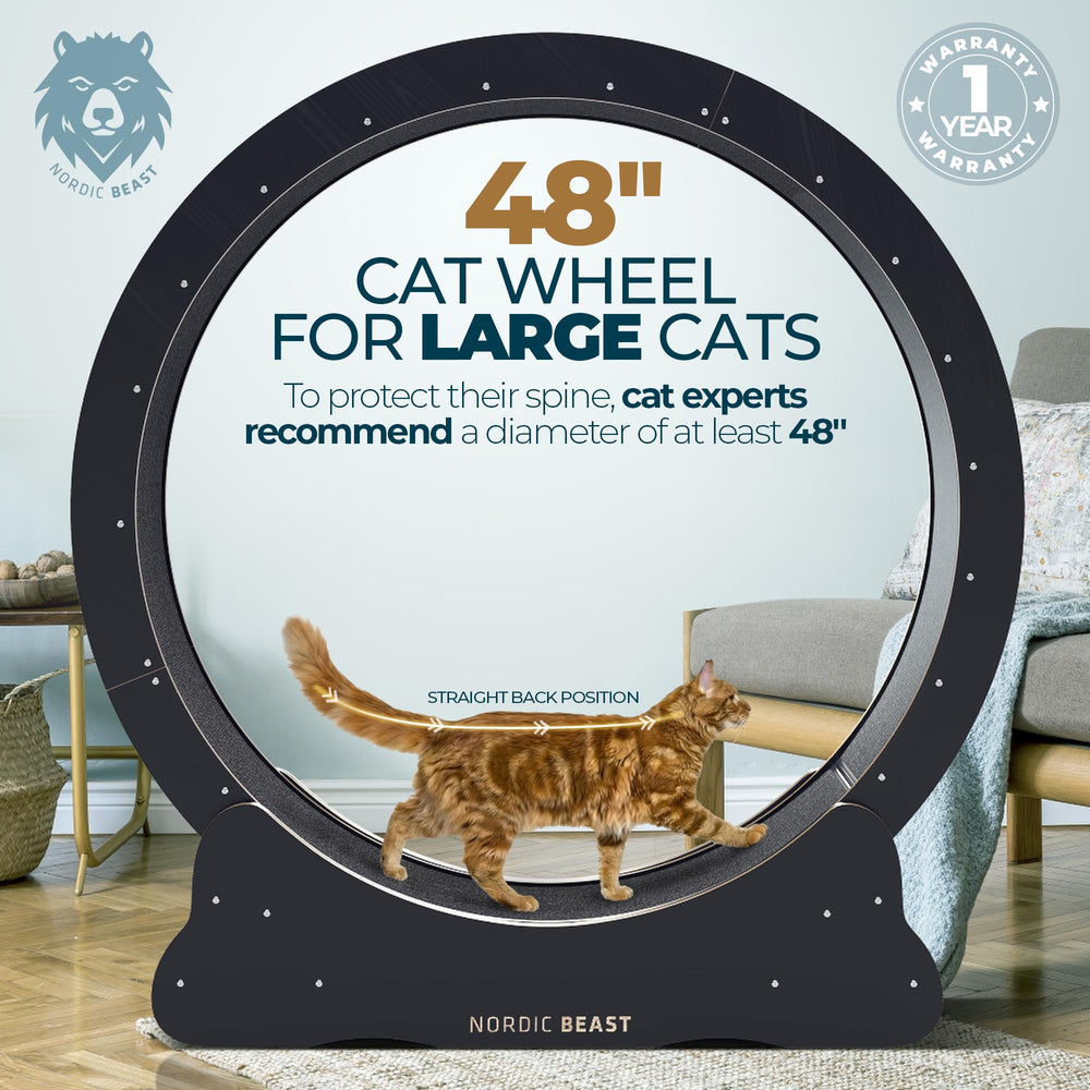Nordic Beast 48'' XL cat wheel side view showing stable, wobble-free frame