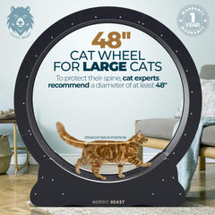 Nordic Beast 48'' XL cat wheel side view showing stable, wobble-free frame