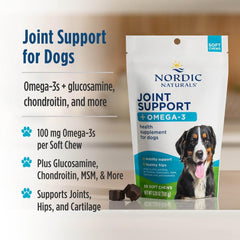 Nordic Naturals chews close-up showing soft texture and pork bone broth flavor.