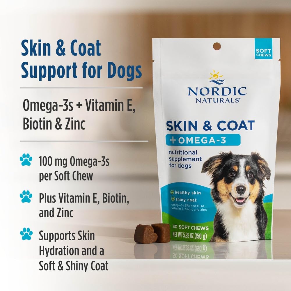 Nordic Naturals Pet Skin & Coat Soft Chews dog taking a chew shows tasty omega-3 support