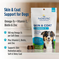 Nordic Naturals Pet Skin & Coat Soft Chews dog taking a chew shows tasty omega-3 support