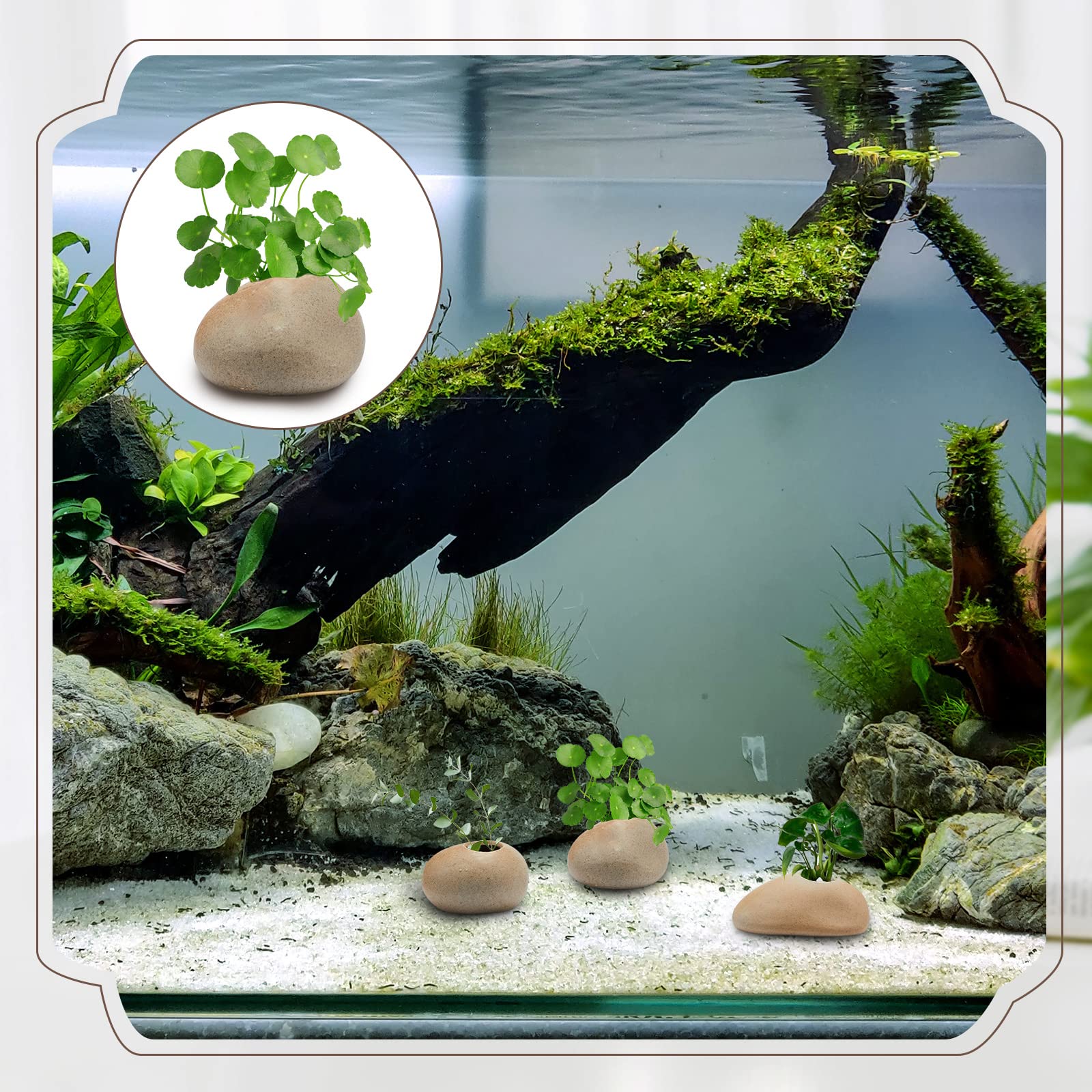 Norme aquarium plant pot ceramic style-e offers easy arrangement for different root systems