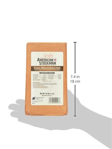 North American Salt brick in feeder, delivering zinc, manganese, cobalt and more for herd health.