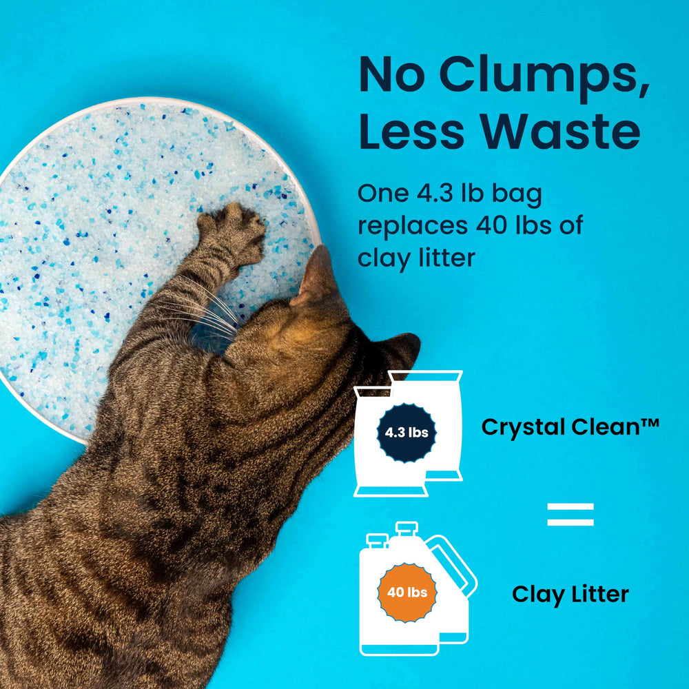 North Star Pets Crystal Clean pre-portioned bags ready for immediate use.