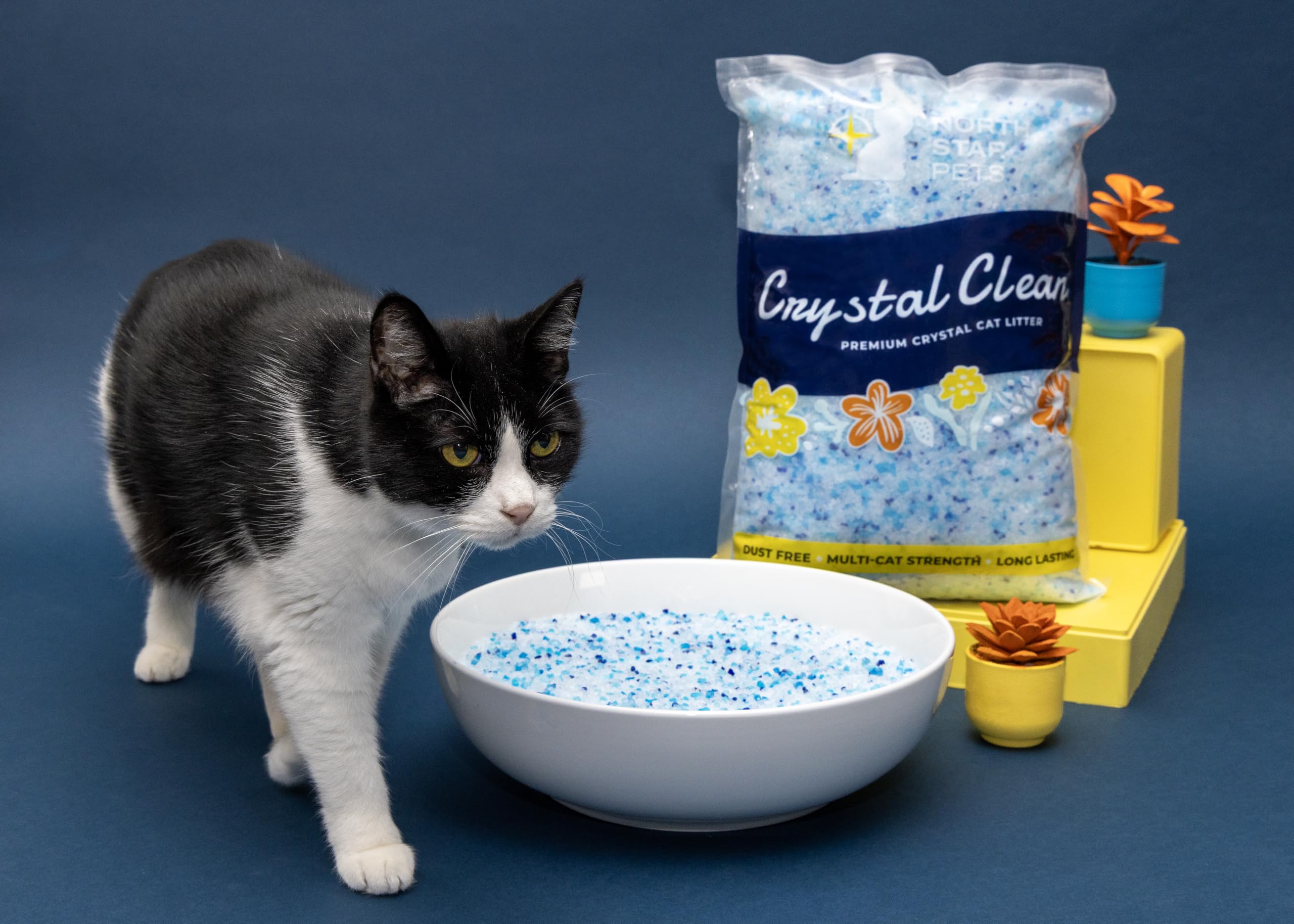 North Star Pets Crystal Clean compatible with PetSafe trays for flexible setup.