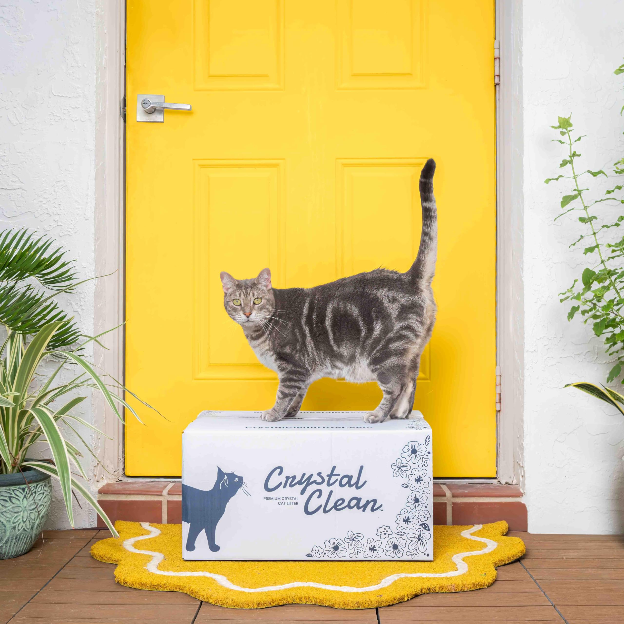 North Star Pets Crystal Clean two bag pack for monthly use.