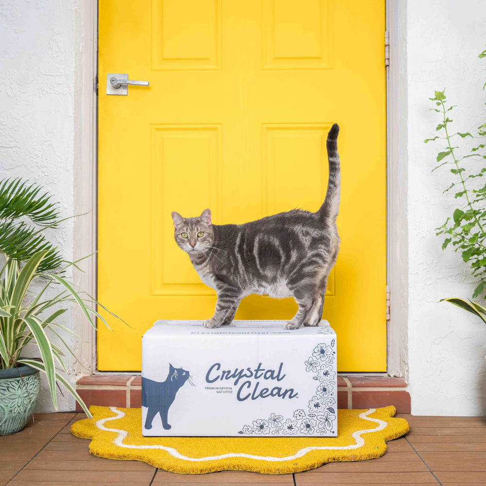 North Star Pets Crystal Clean two bag pack for monthly use.
