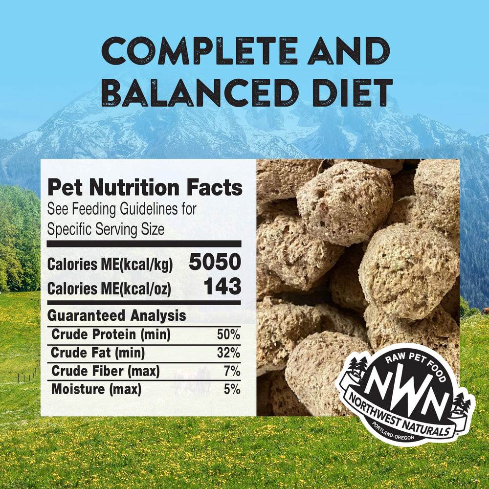 Northwest Naturals Bite-Sized Nuggets shown in bowl, easy chewing for dogs of all sizes.