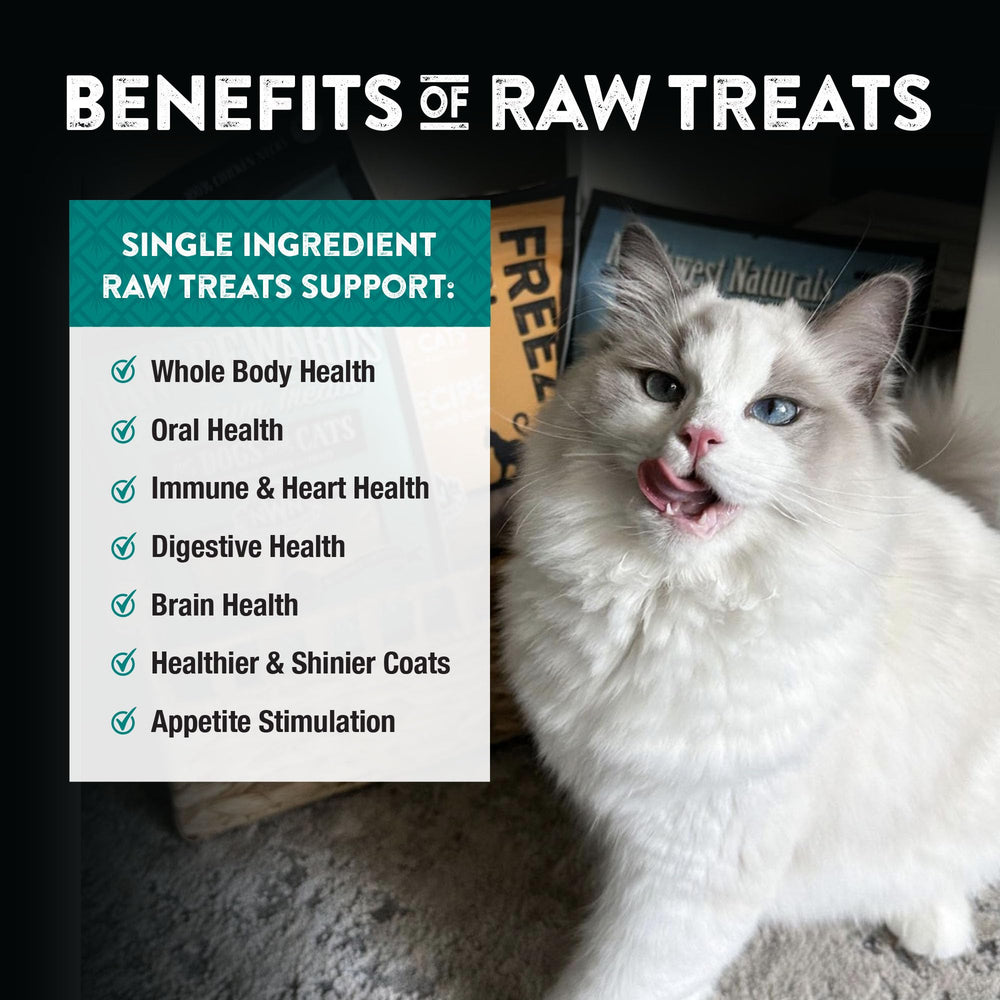 Dog and cat snack served in a bowl, Northwest Naturals treats ready for daily rewards