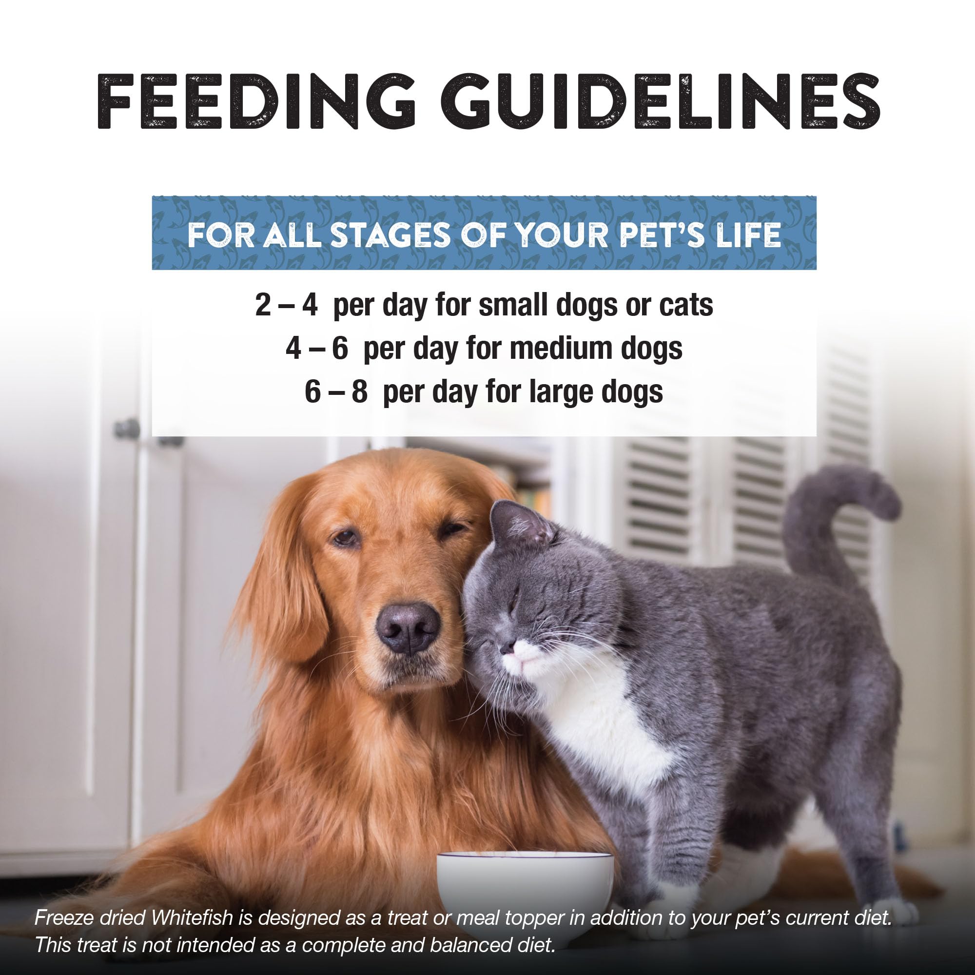 Treats for dogs and cats from Northwest Naturals, perfect for daily snacks.