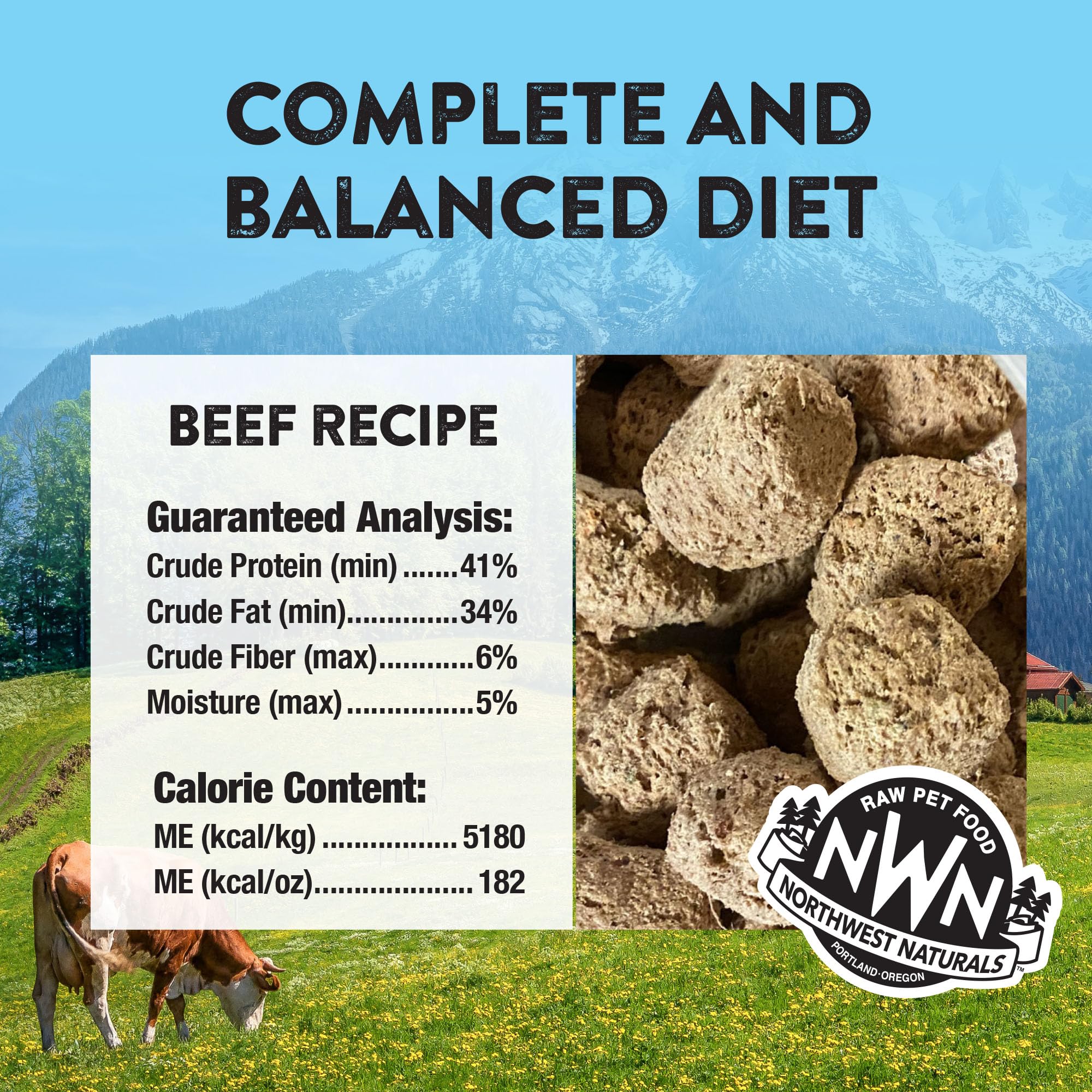Northwest Naturals freeze-dried beef dog food packaging, travel-friendly and easy to store.
