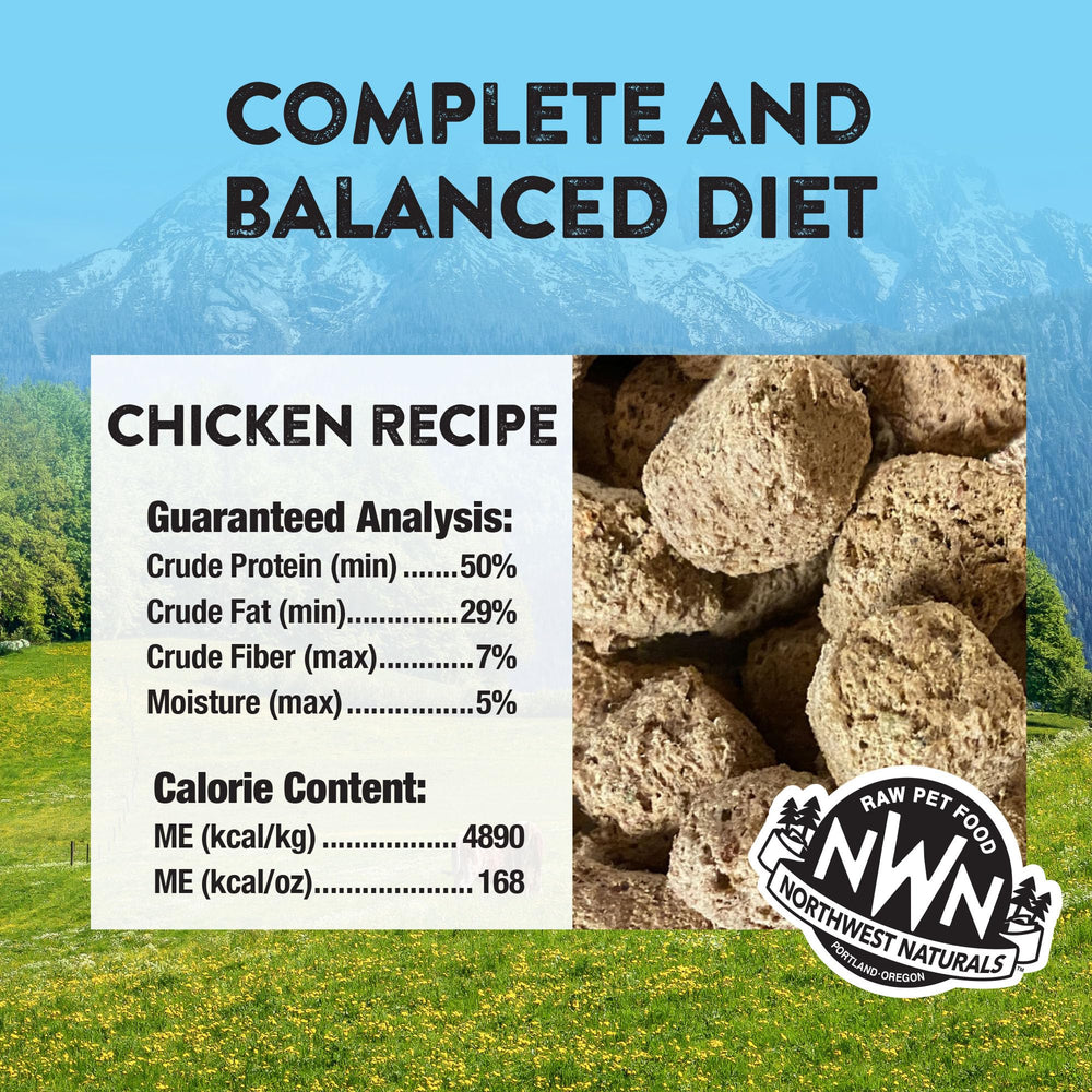 Northwest Naturals Freeze-Dried Chicken dog food nuggets closeup, bite-sized and convenient