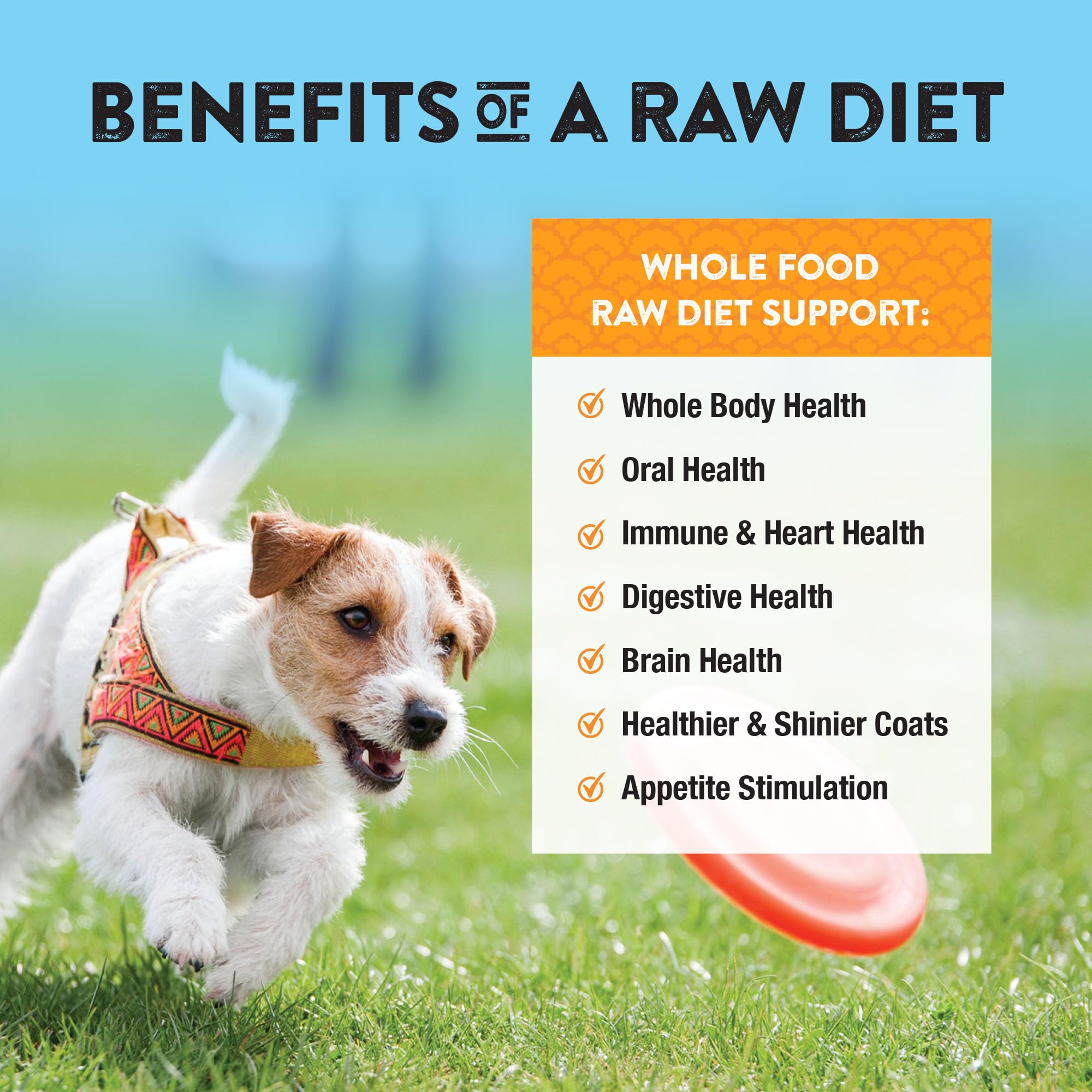 Northwest Naturals turkey dog food supports simple raw-style feeding without heavy prep.