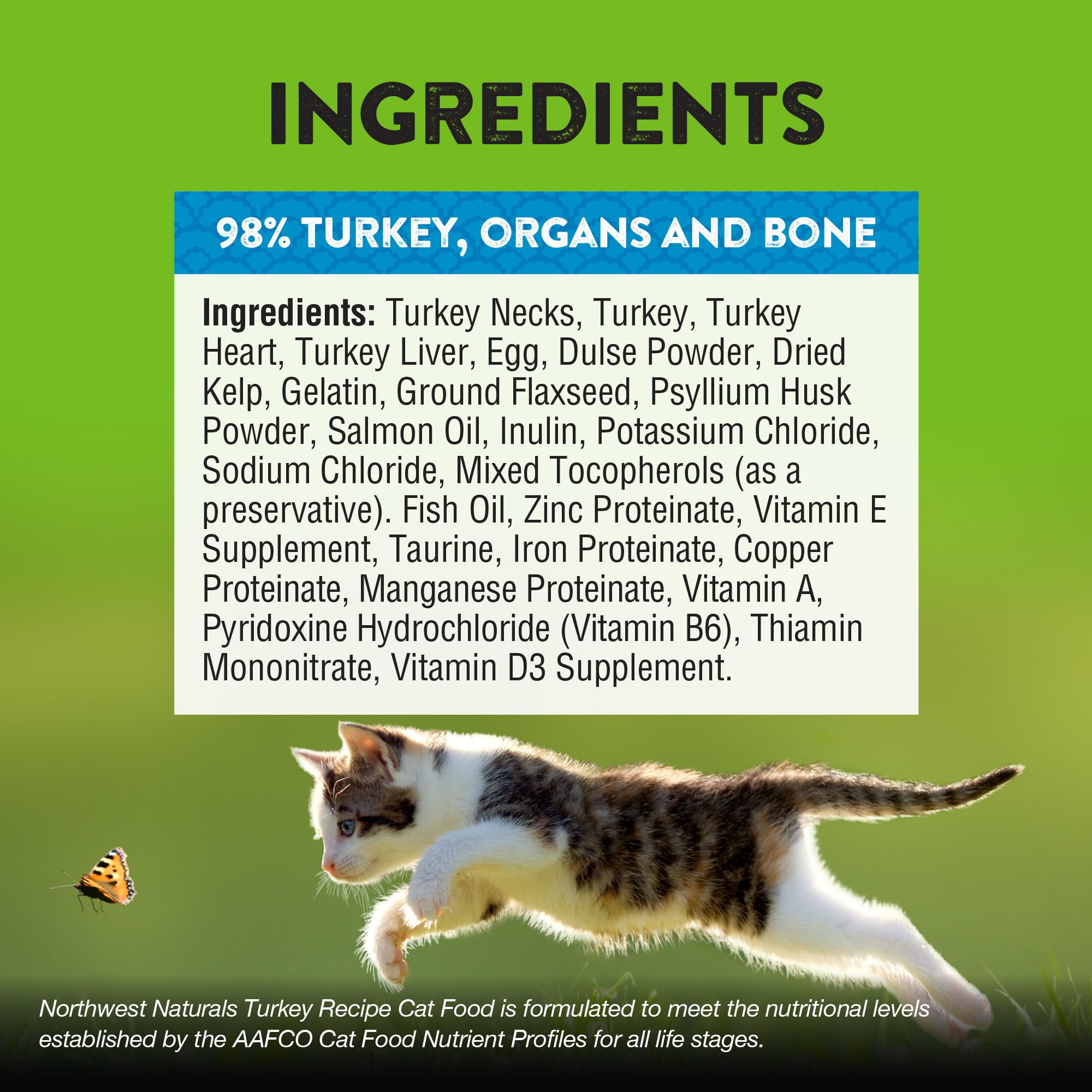 Texture close-up of Northwest Naturals freeze-dried turkey kibble