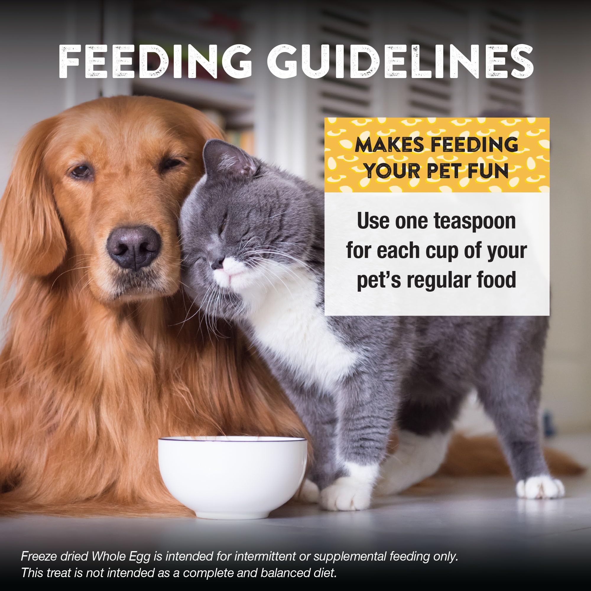 Northwest Naturals topper in dog bowl boosts meal appeal.
