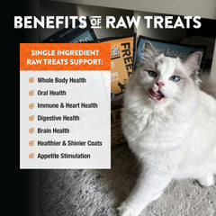 Freeze-dried salmon treats in a travel-friendly, easy-open bag.