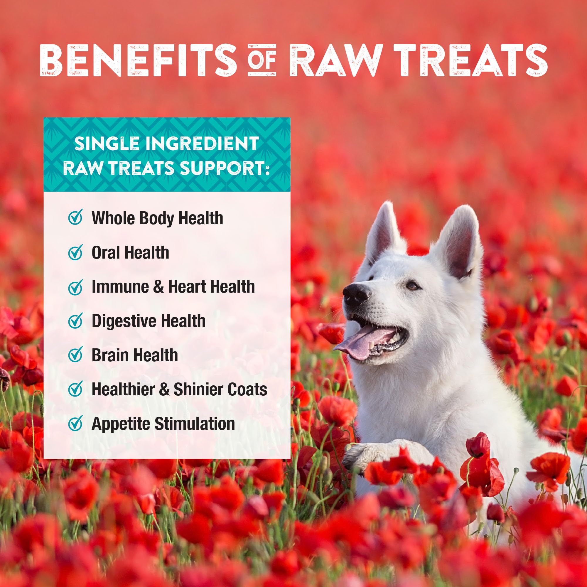 Northwest Naturals human-grade production standard in USA facility.