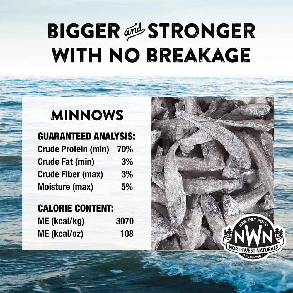 Northwest Naturals minnow treats close-up texture showing crisp freeze-dried surface.