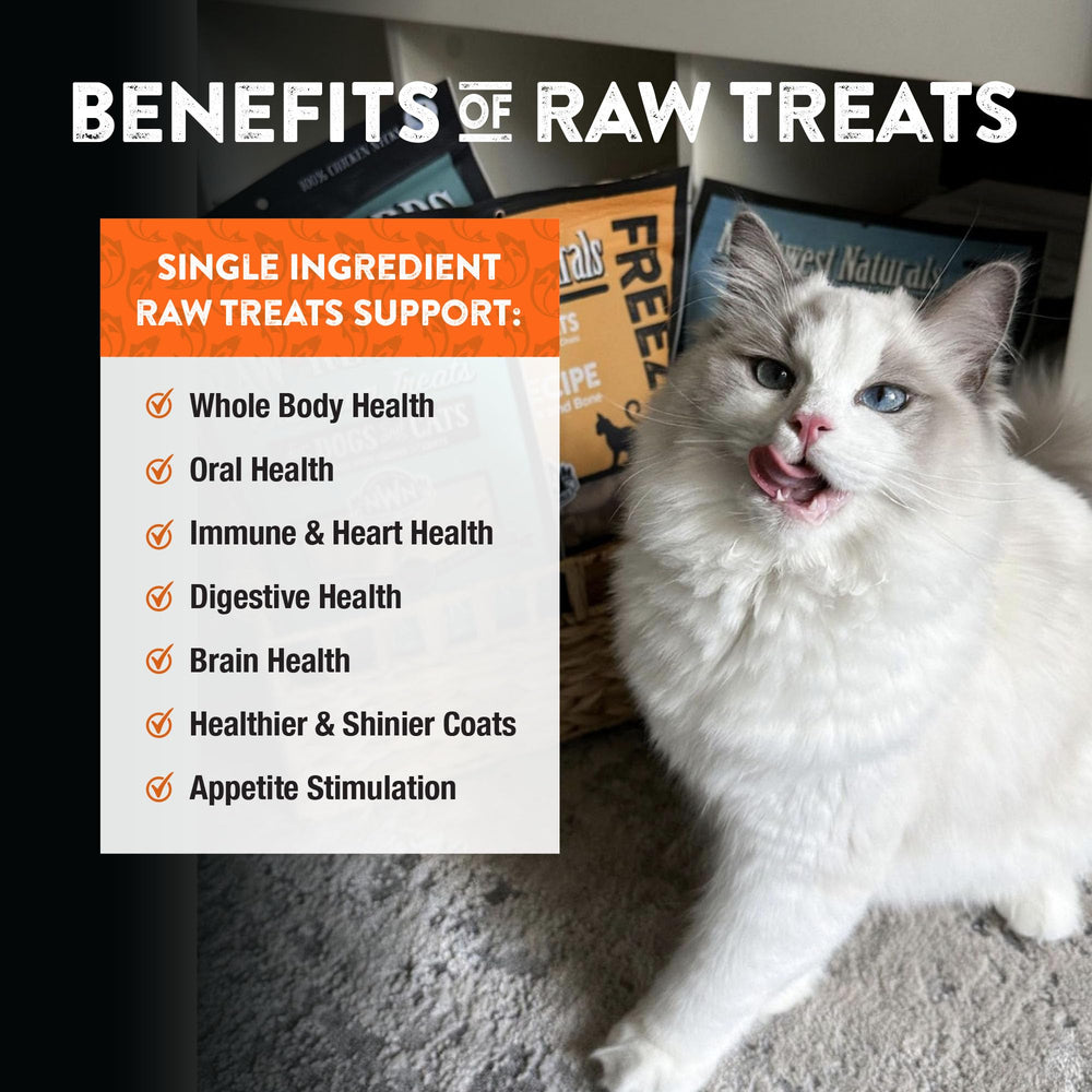 One-ingredient salmon snack supports simple snacking for dogs and cats.