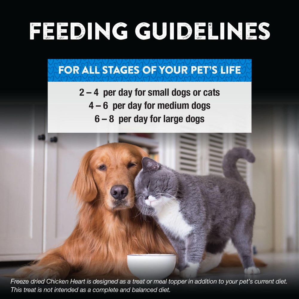 Dog and cat enjoy Northwest Naturals Raw Rewards chicken heart snack.