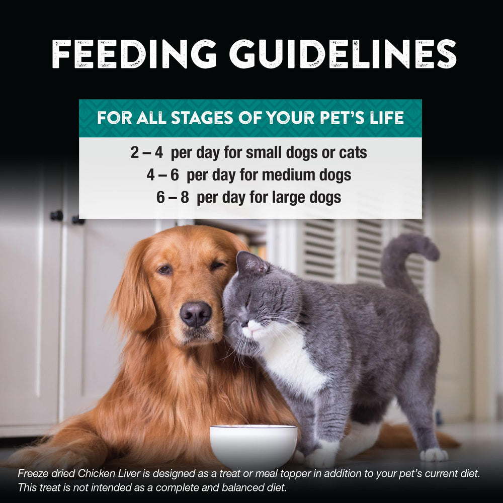 Treats resting on a paw to indicate pet-friendly bite-sized pieces from Northwest Naturals