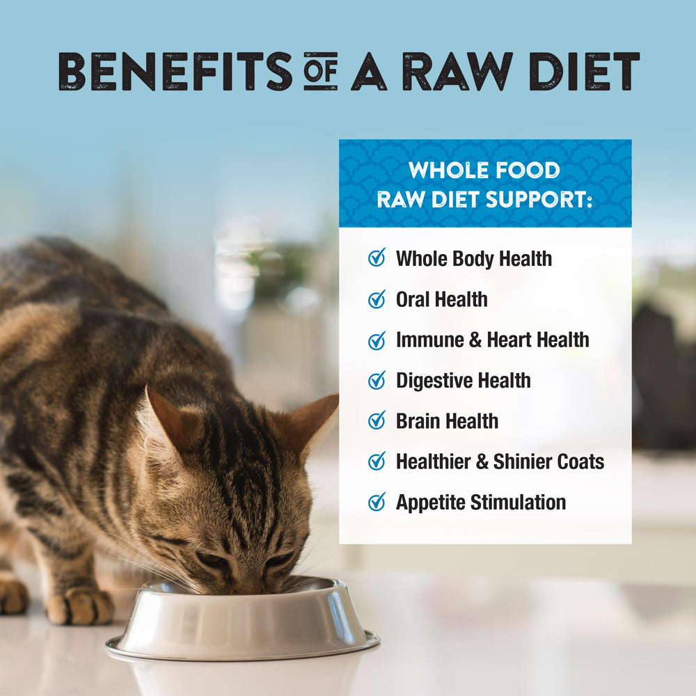 Cat treats from Northwest Naturals used as training rewards