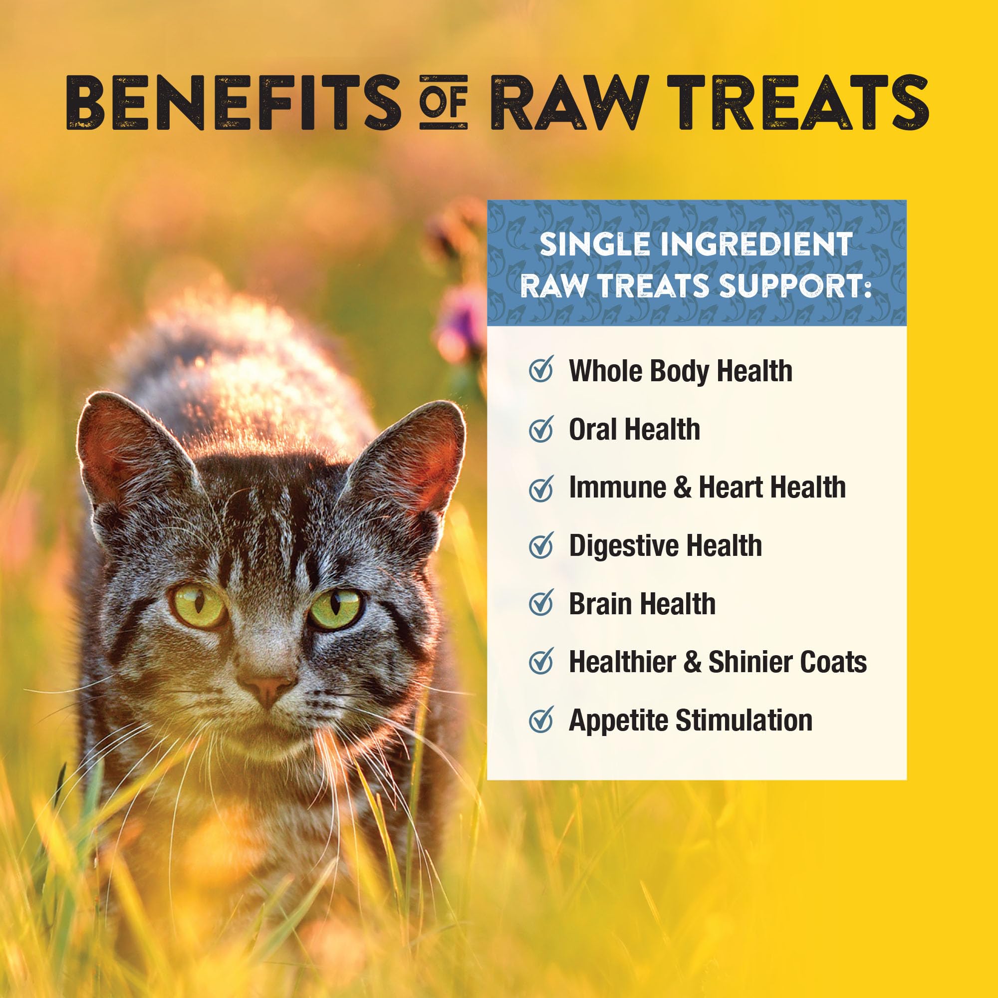 Travel-friendly packaging from Northwest Naturals keeps treats fresh on the go.