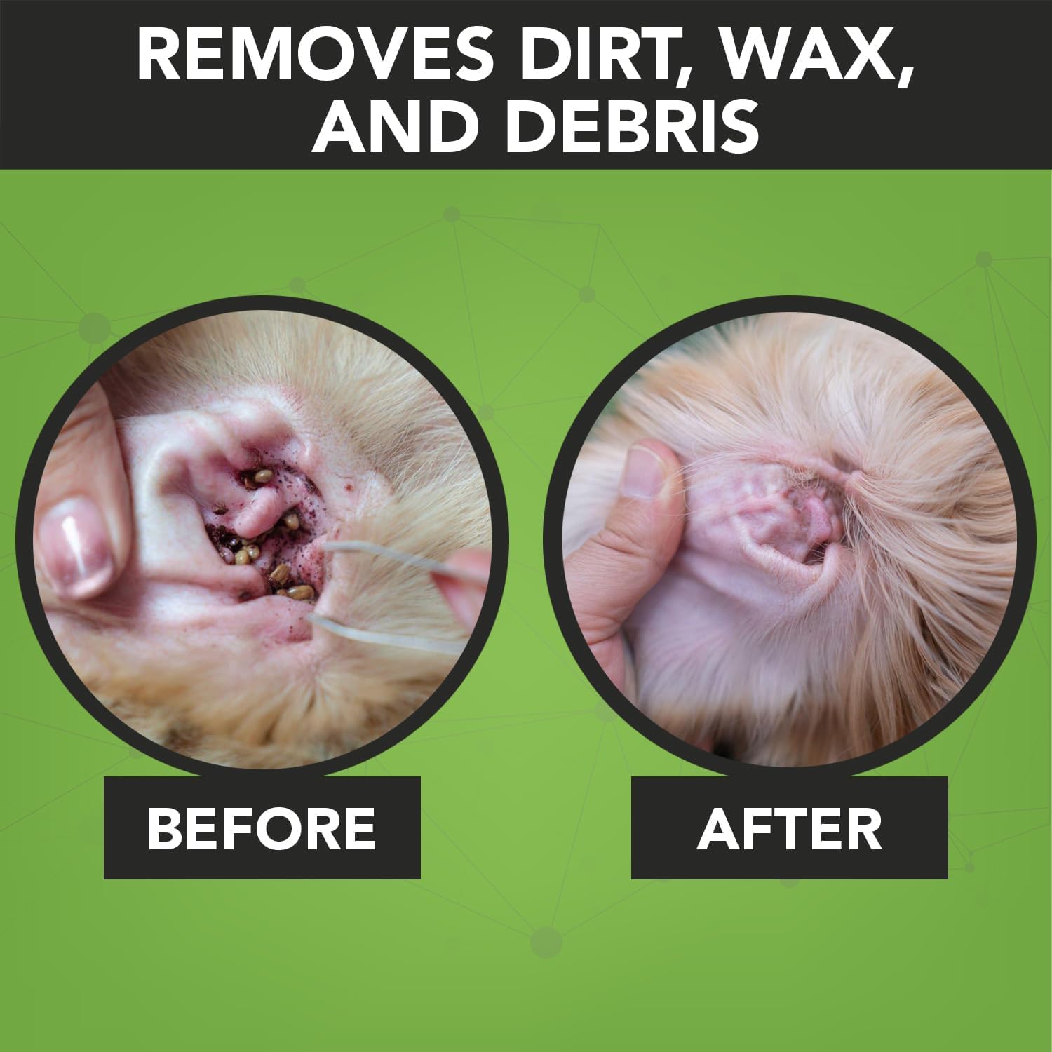 NOVEHA cat and dog ear wipe application scene for versatile care