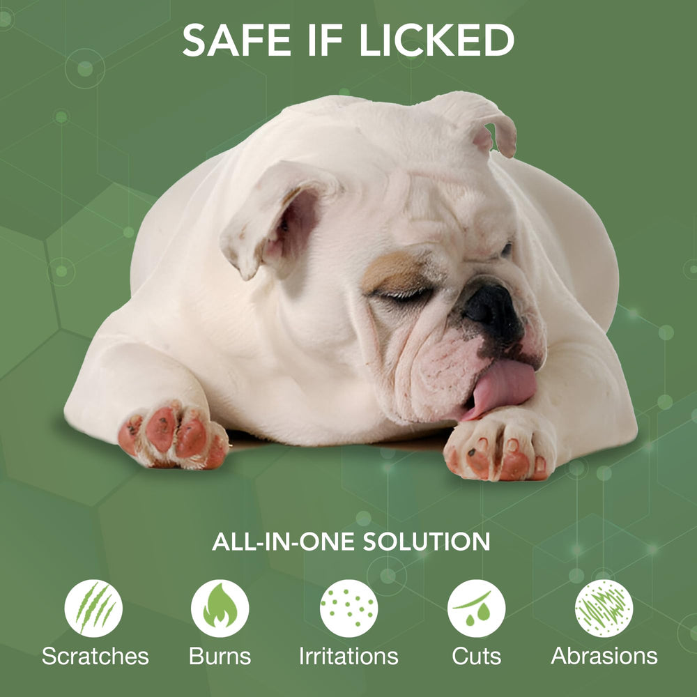 NOVEHA Fast-acting itch relief spray on a dog demonstrates comfort after treatment