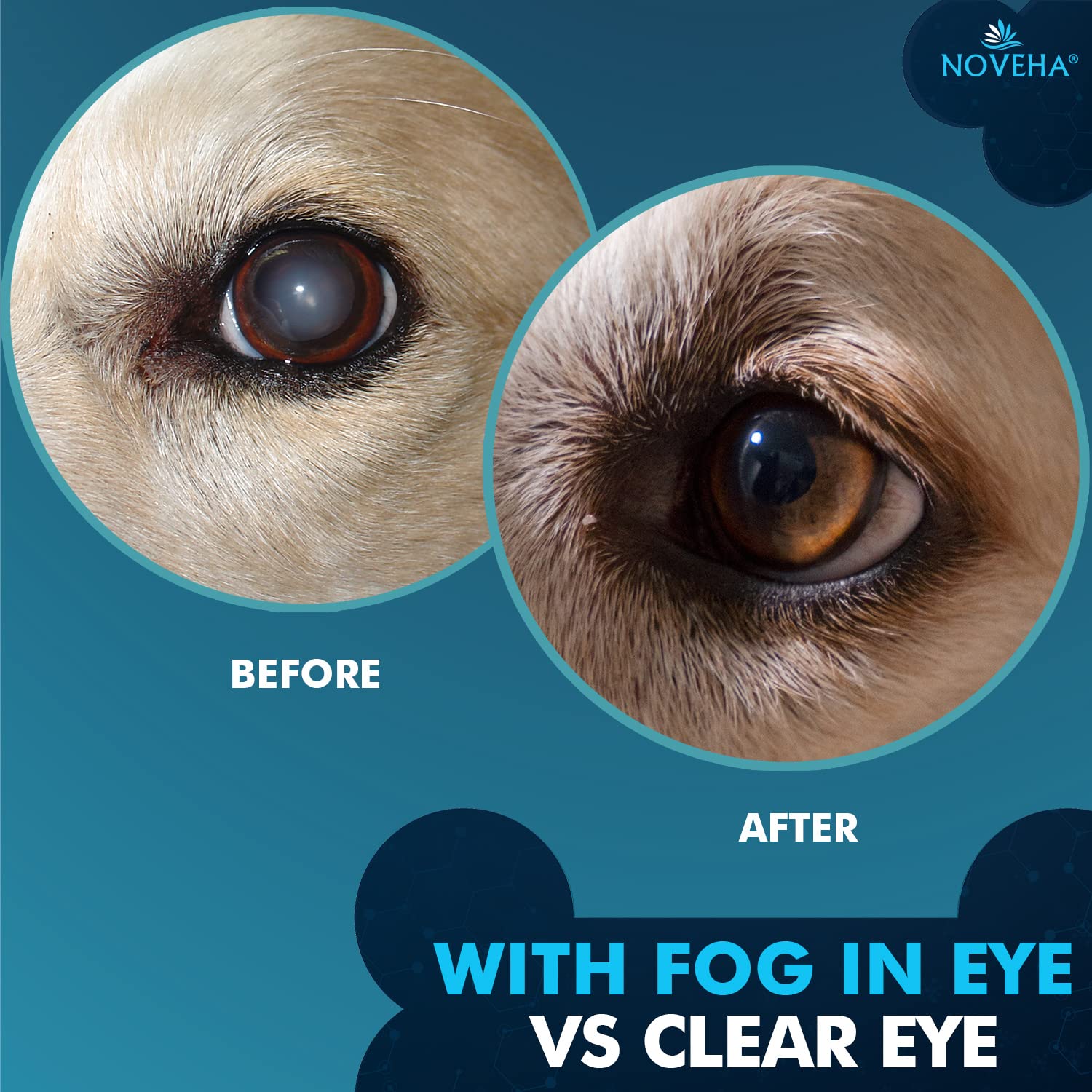 NOVEHA Pet Drops application near pet's eye demonstrates ease