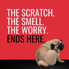 NOVEHA pet-wipes on hand demonstrates easy grab-and-go hygiene.