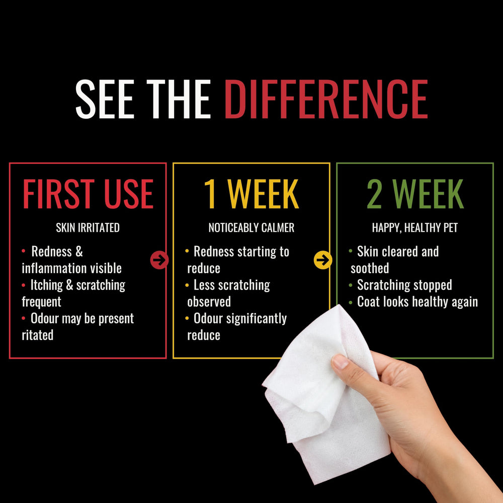 NOVEHA wipes are pre-moistened for fast cleansing between baths.