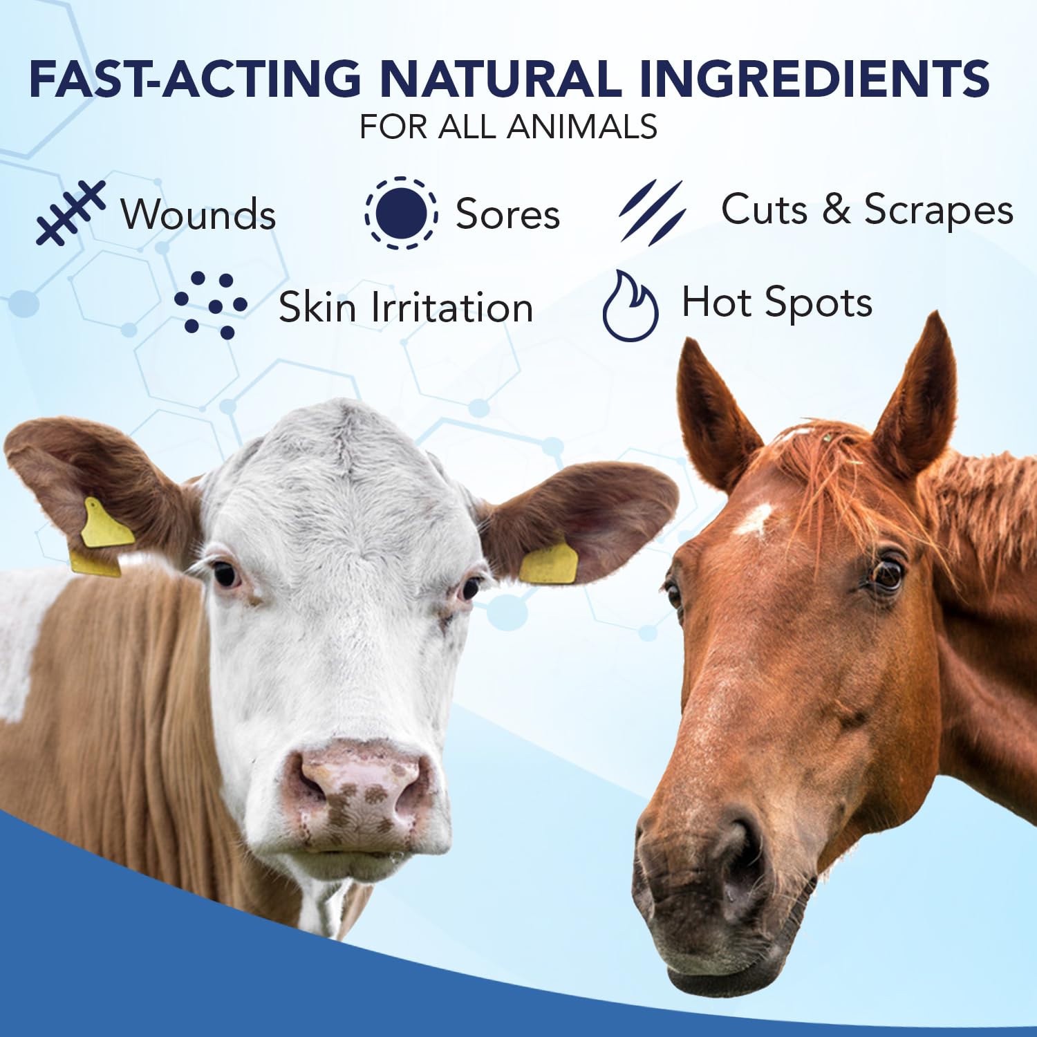 NOVEHA Pet Wound Spray label highlights lick-safe, non-steroidal formula.
