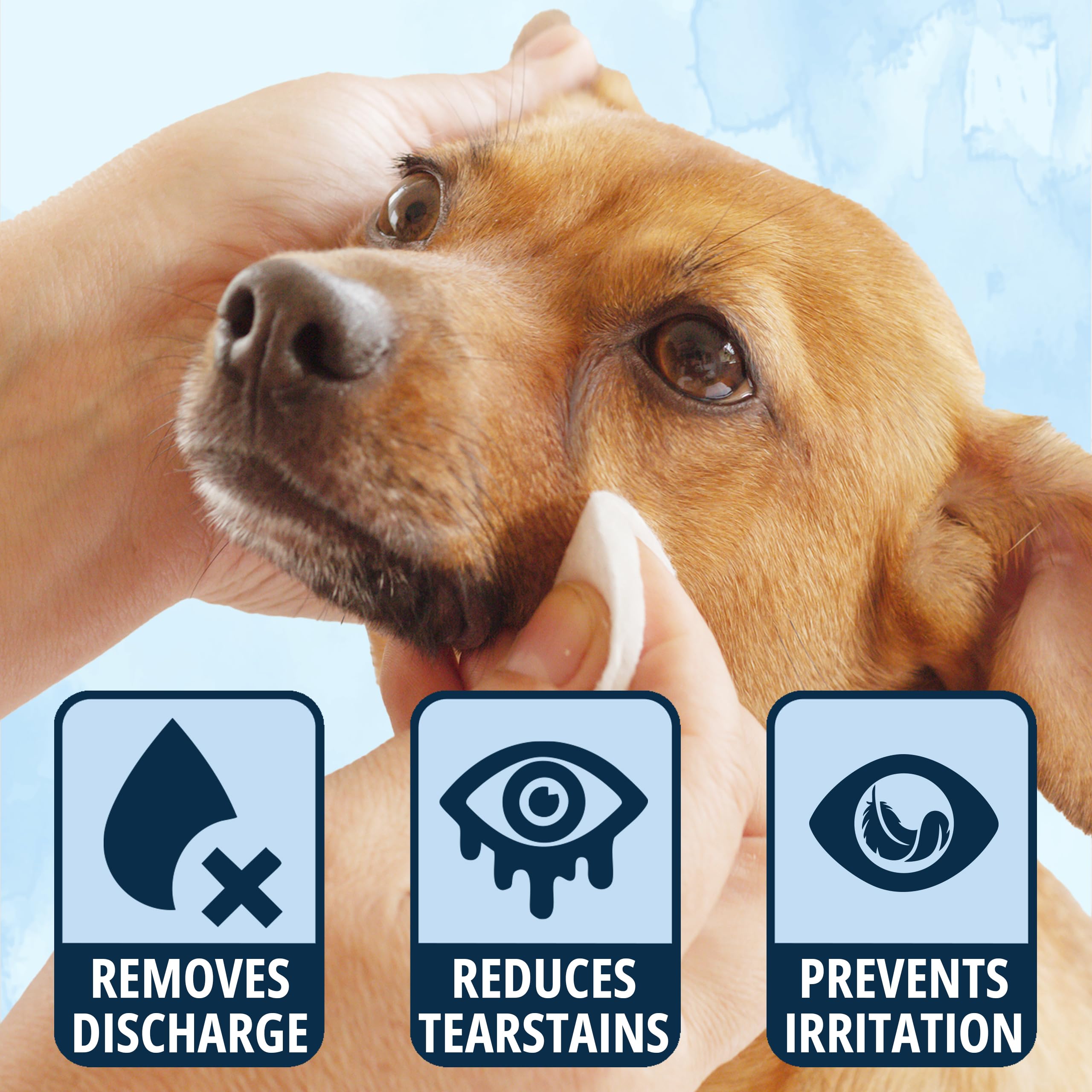 NOVEHA tear stain remover for discharge and crust on white fur
