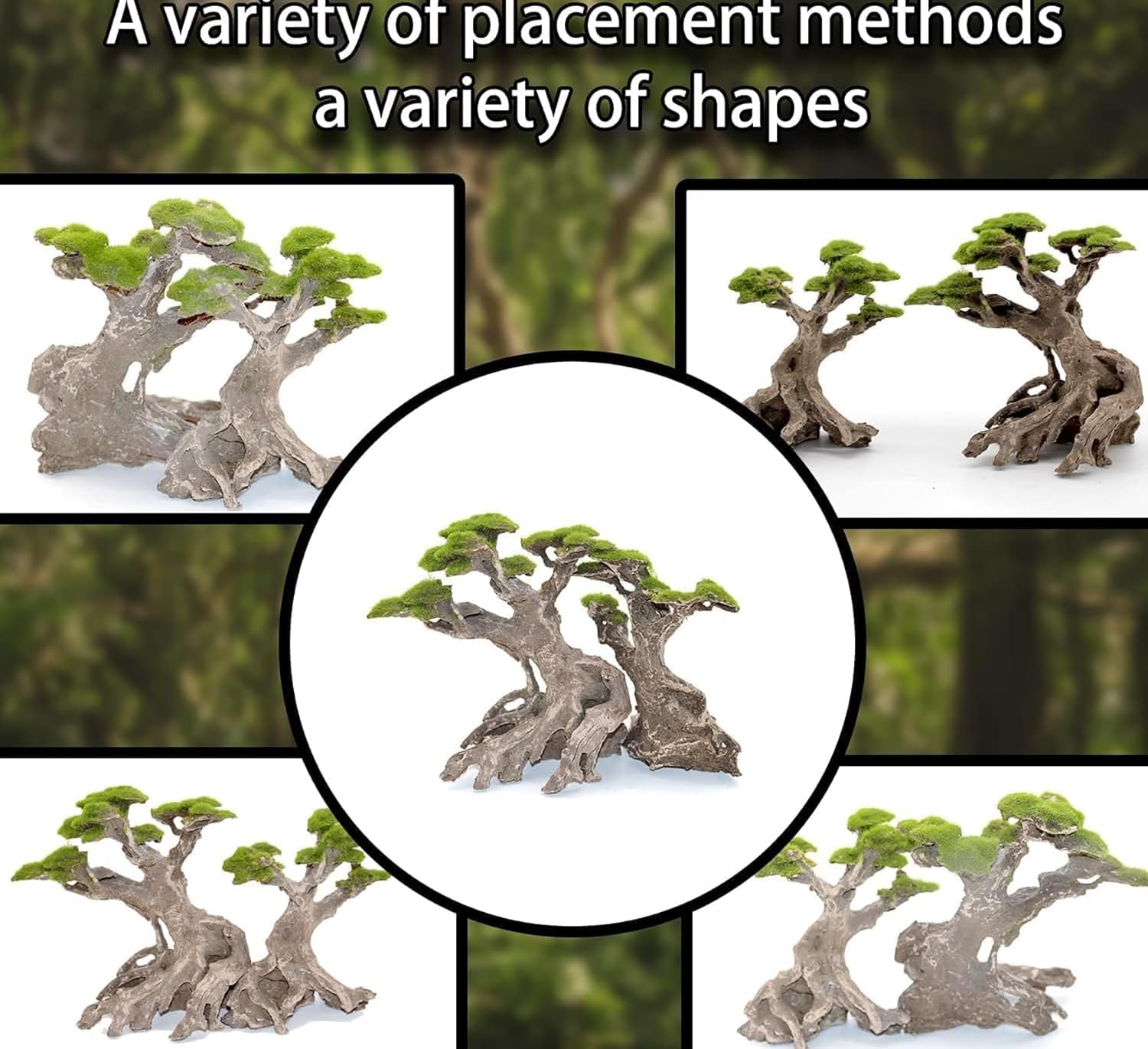 Novelsite bonsai centerpieces bring visual depth to medium tanks.