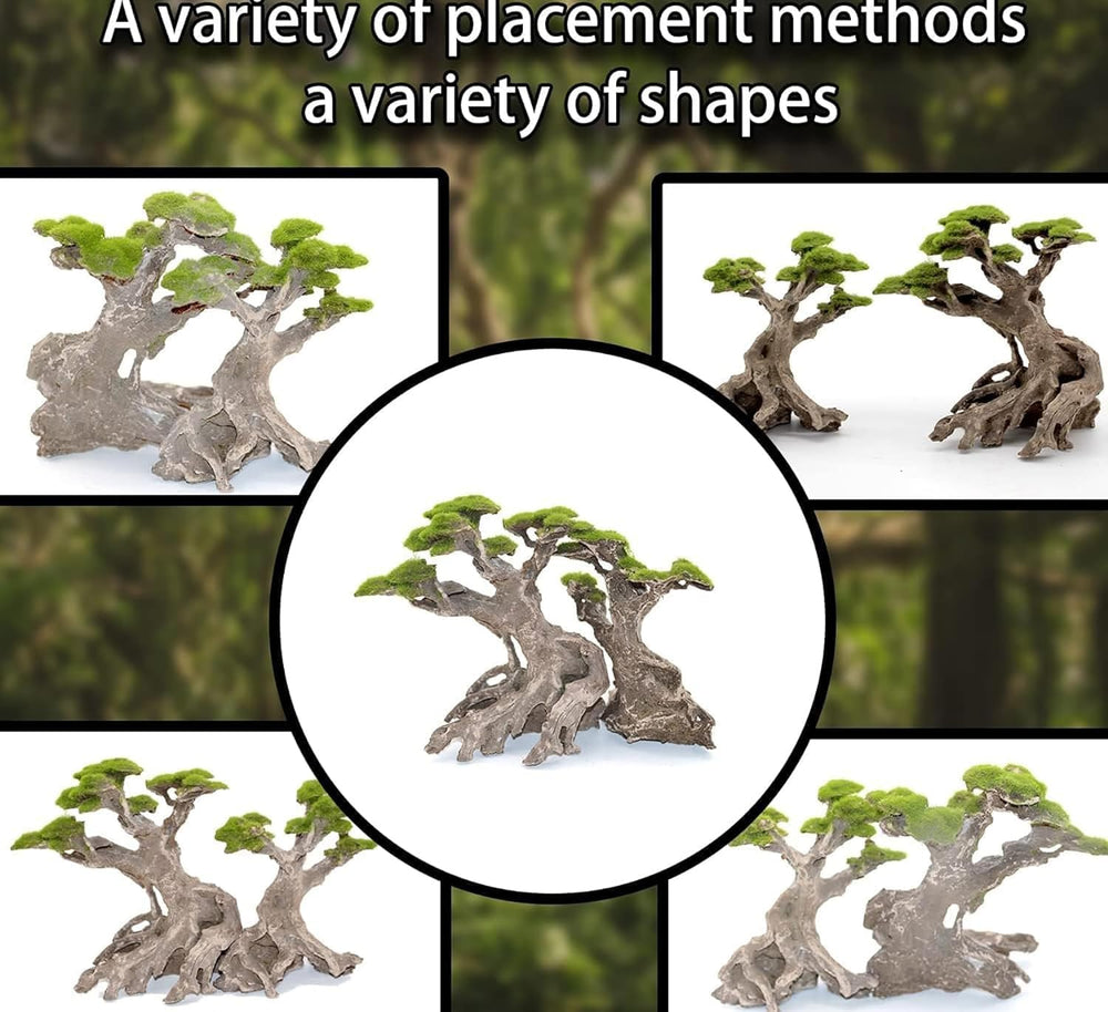 Novelsite bonsai centerpieces bring visual depth to medium tanks.