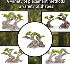 Novelsite bonsai centerpieces bring visual depth to medium tanks.