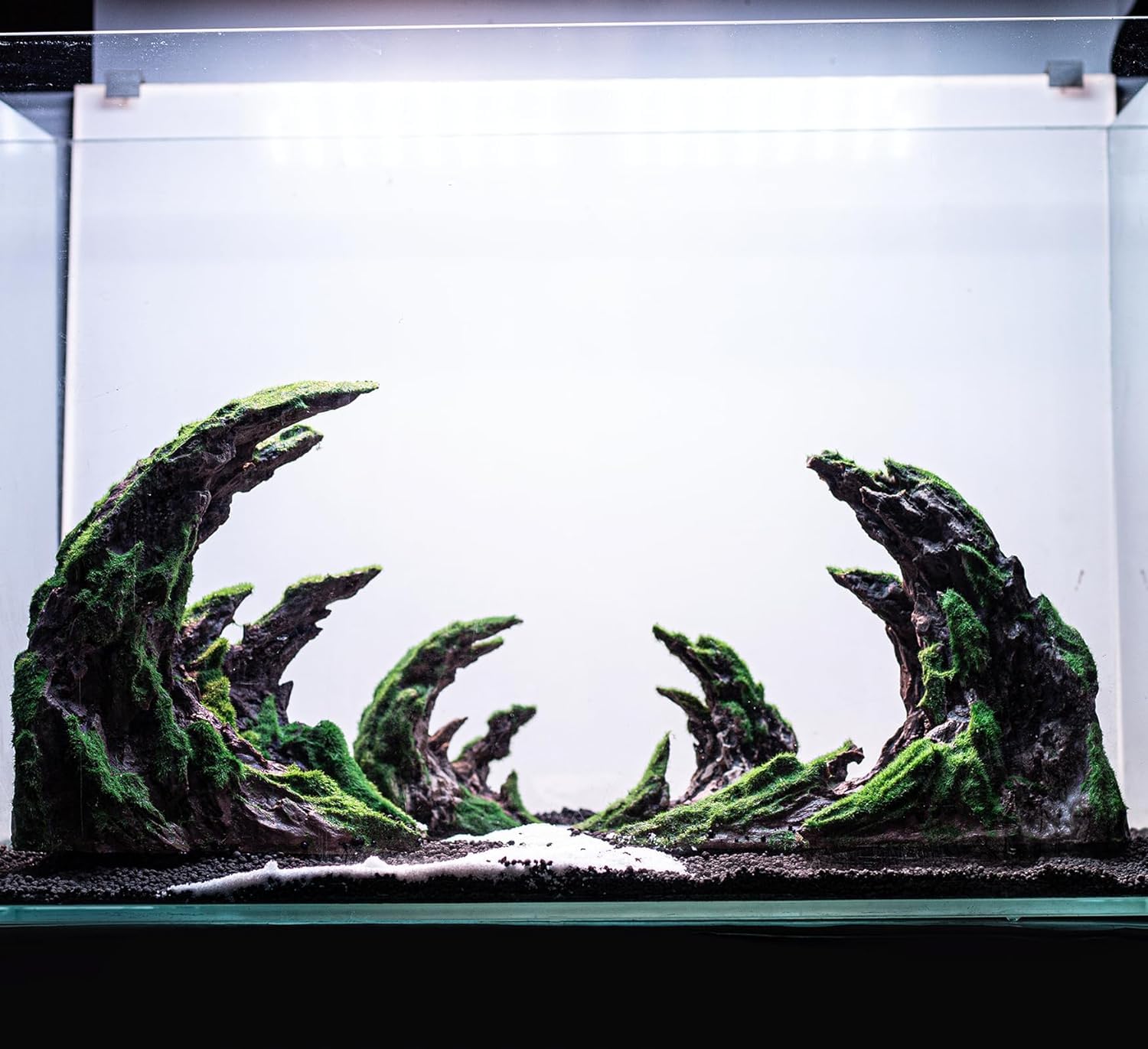 Novelsite low-maintenance design keeps tanks cleaner longer.