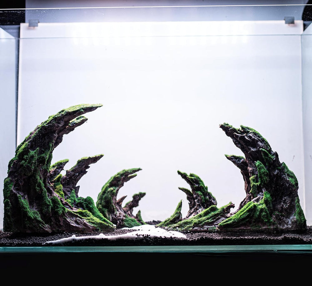 Novelsite low-maintenance design keeps tanks cleaner longer.