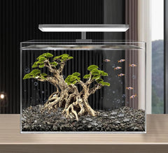 Novelsite sandstone aquarium rocks add natural texture for realistic aquascapes.