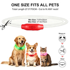 Novkin rechargeable LED collar with USB charging for quick power ups