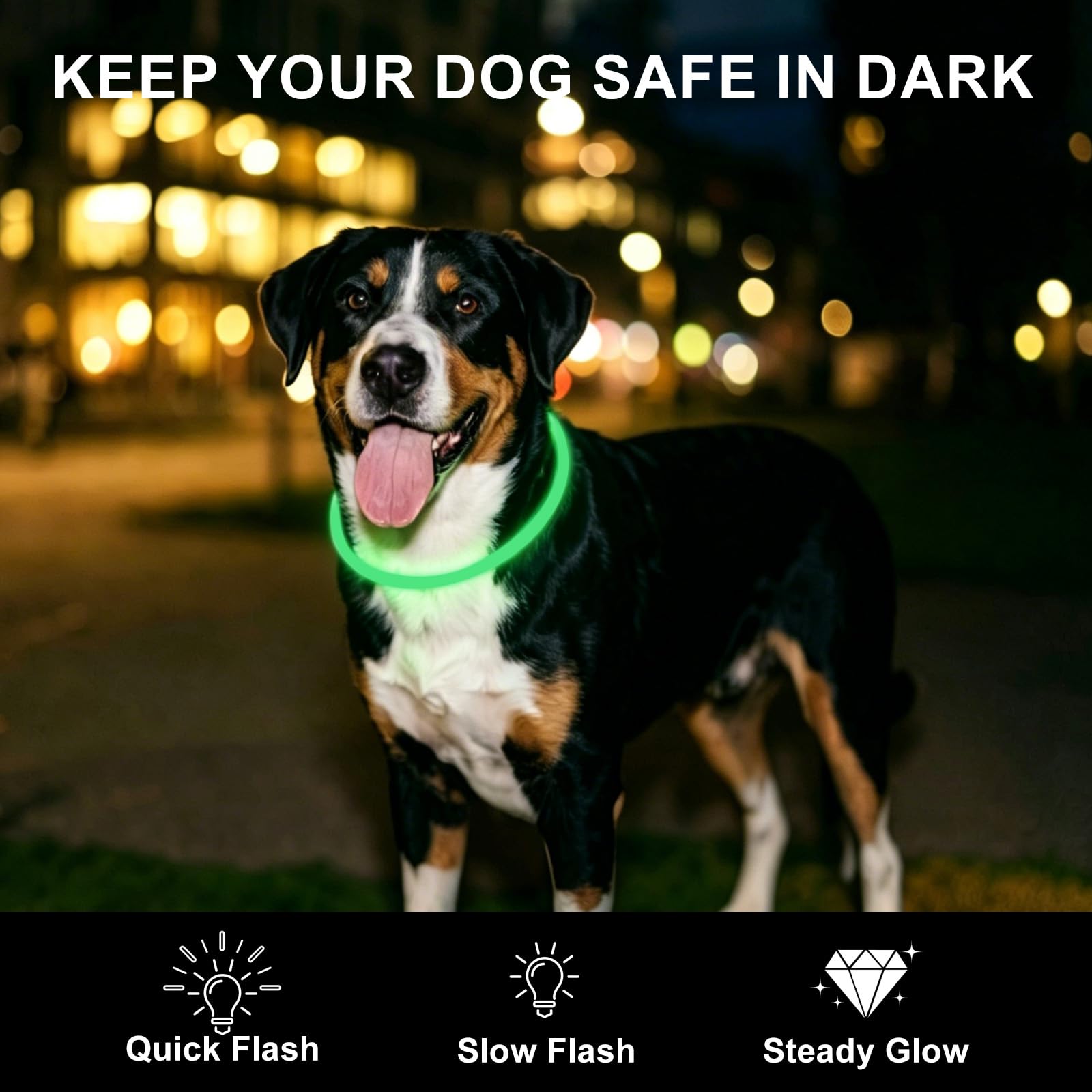 Novkin LED dog collar blue improves nighttime visibility during walks.
