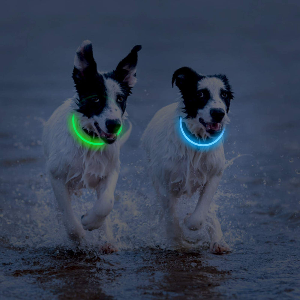 Novkin LED collar provides visibility up to 500 meters in darkness.