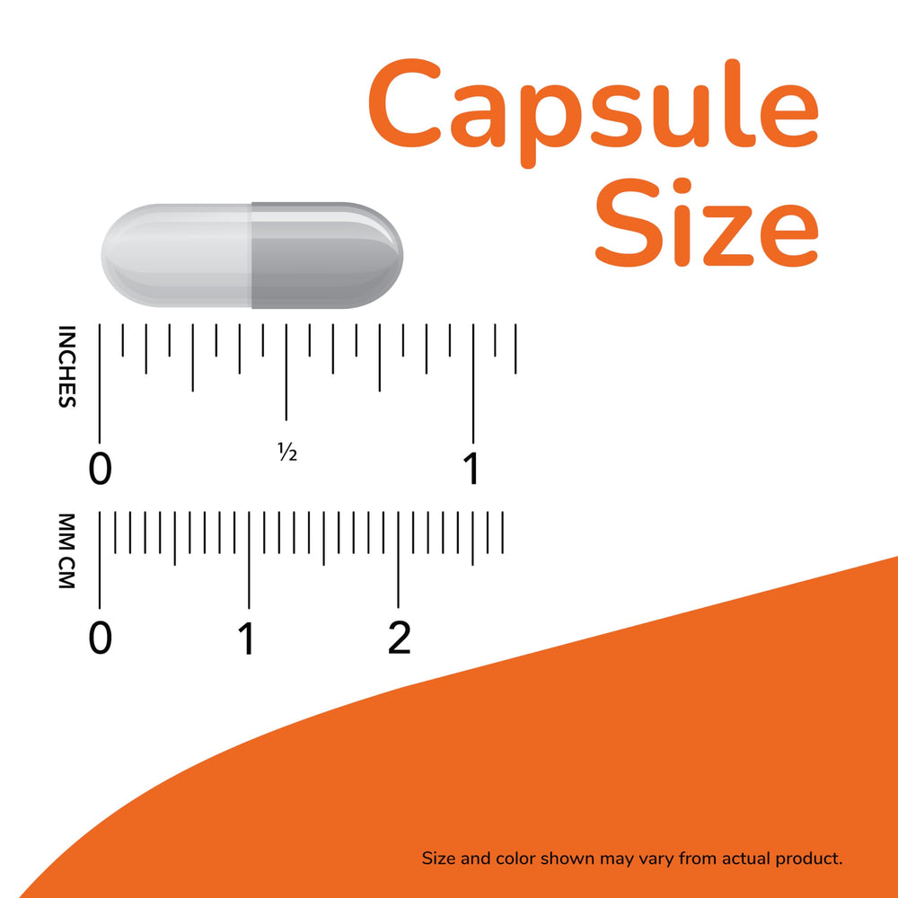 NOW Foods Cat's Claw capsules on blister pack illustrating easy daily use.
