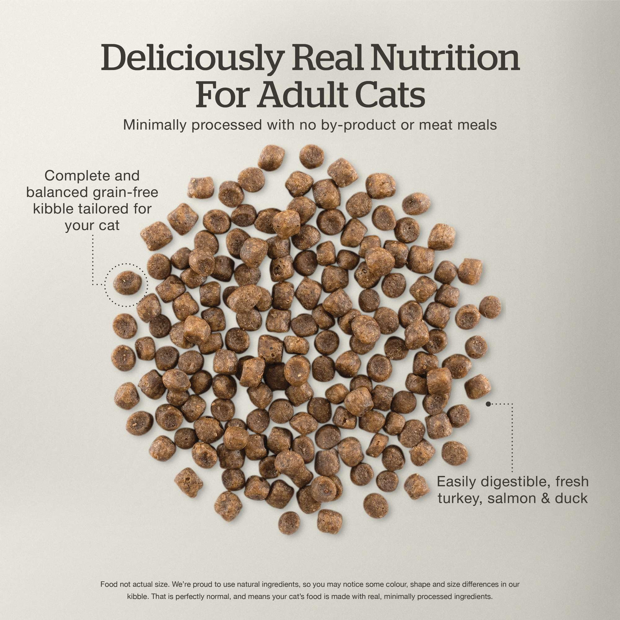 Now Fresh chicken-free formula bag emphasizes turkey-salmon-duck protein blend.
