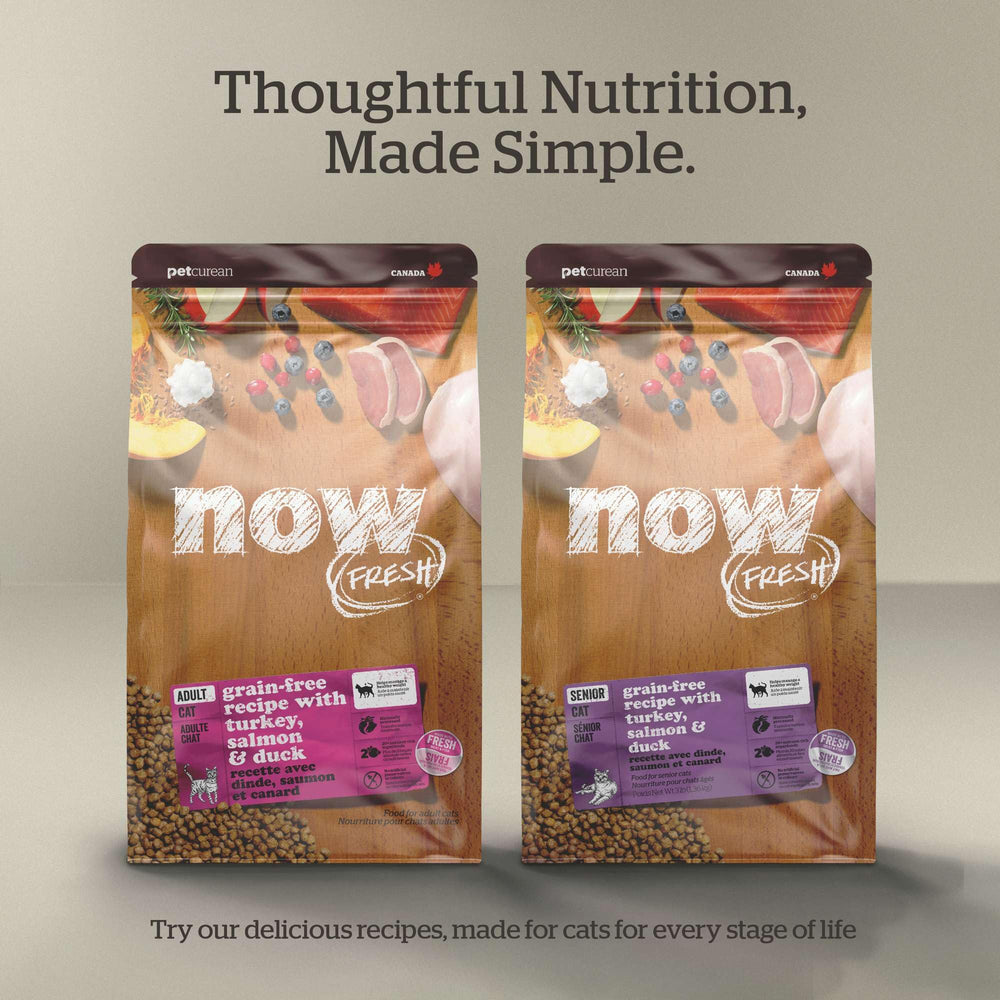 Now Fresh kitten dry food omega-3 flaxseed bag supports brain health.