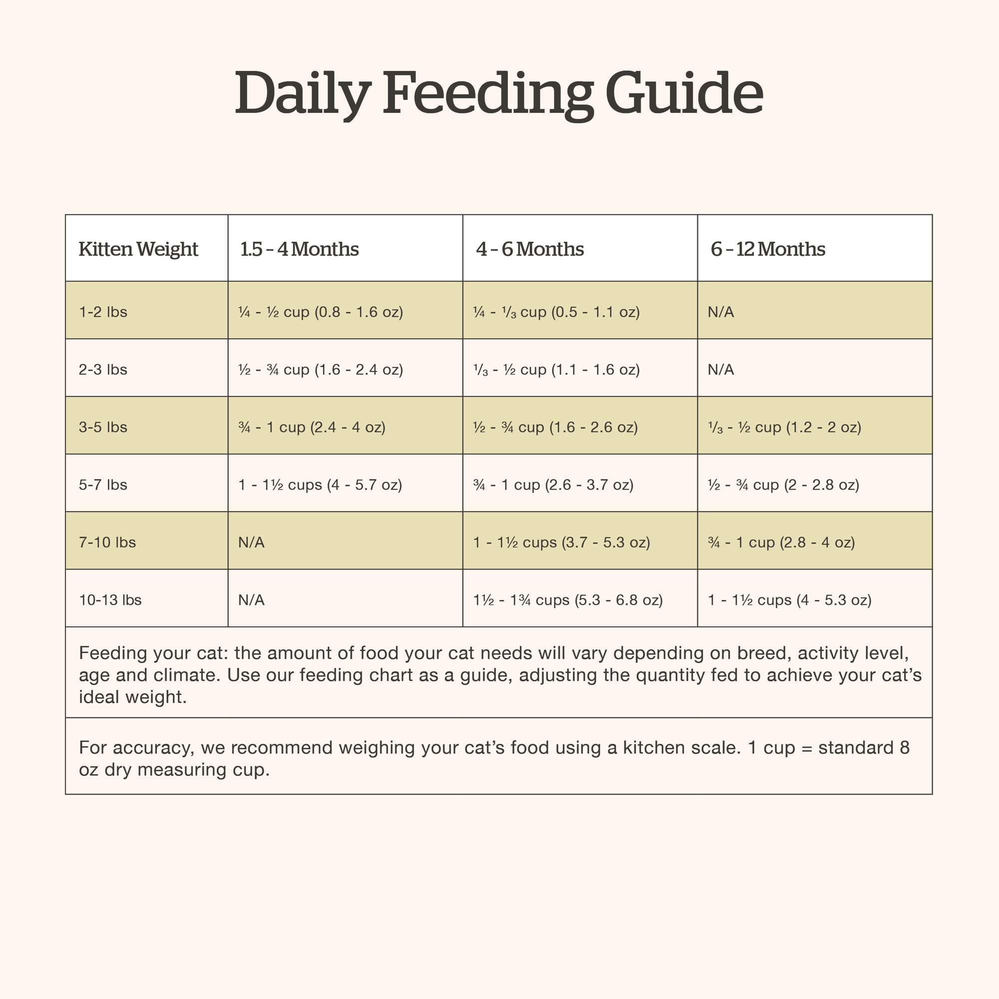 Now Fresh kitten dry food serving bowl close-up shows premium real meat ingredients.