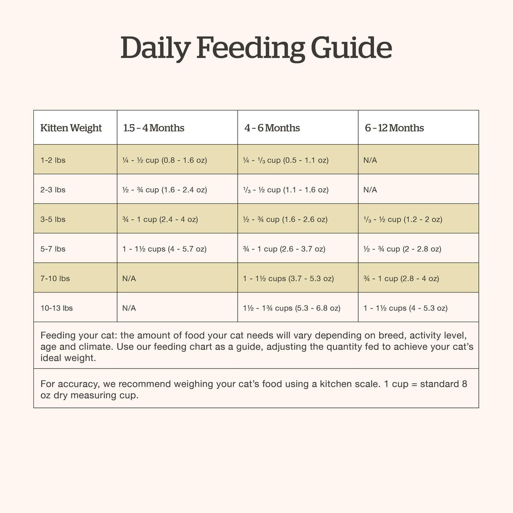 Now Fresh kitten dry food serving bowl close-up shows premium real meat ingredients.
